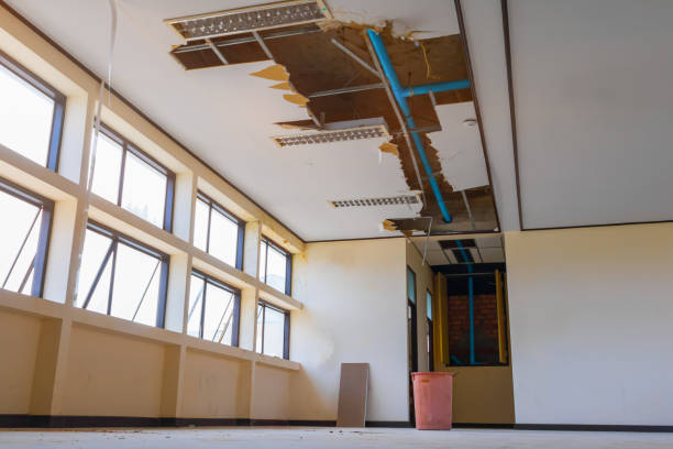 Best Ceiling water damage repair  in West Babylon, NY