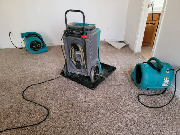 Best Flooded house restoration  in West Babylon, NY