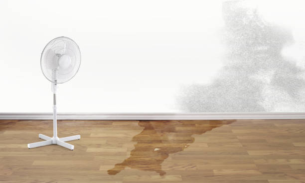 Best Water damage restoration near me  in West Babylon, NY