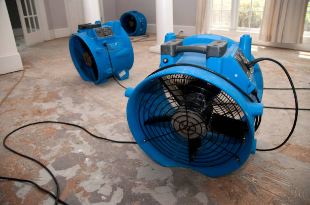 Best Local water damage restoration  in West Babylon, NY