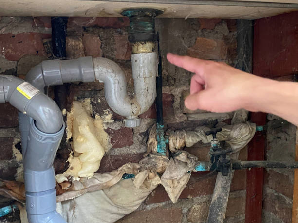 Best Carpet water damage restoration  in West Babylon, NY